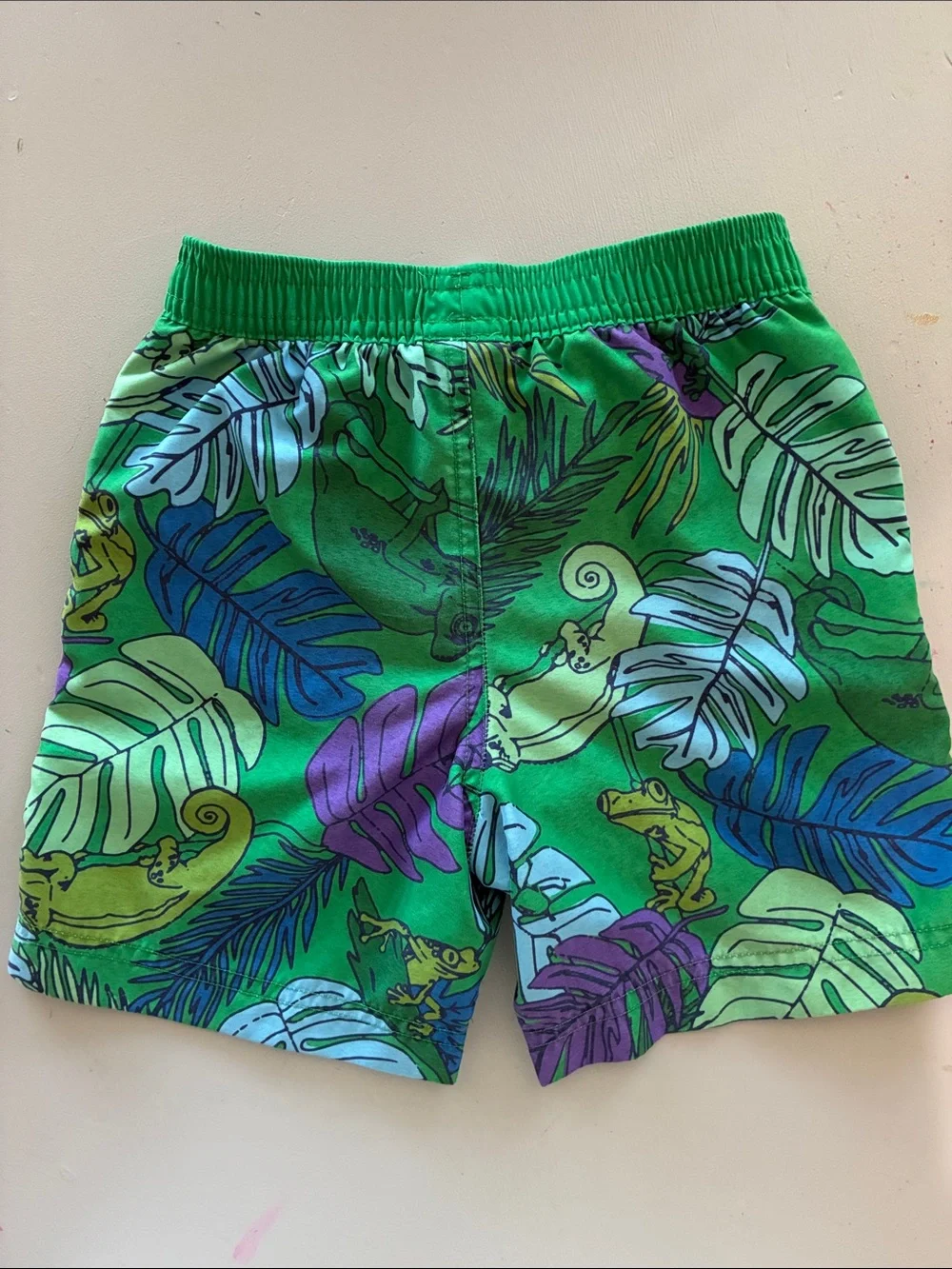 Hanna Andersson Green Lined Swim Shorts